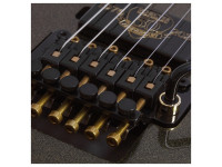 Schecter C-1 FR-S 50th Anniversary Schecter C-1 FR-S 50th Anniversary